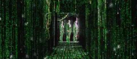 THE ULTIMATE PHOTOCOLLECTION